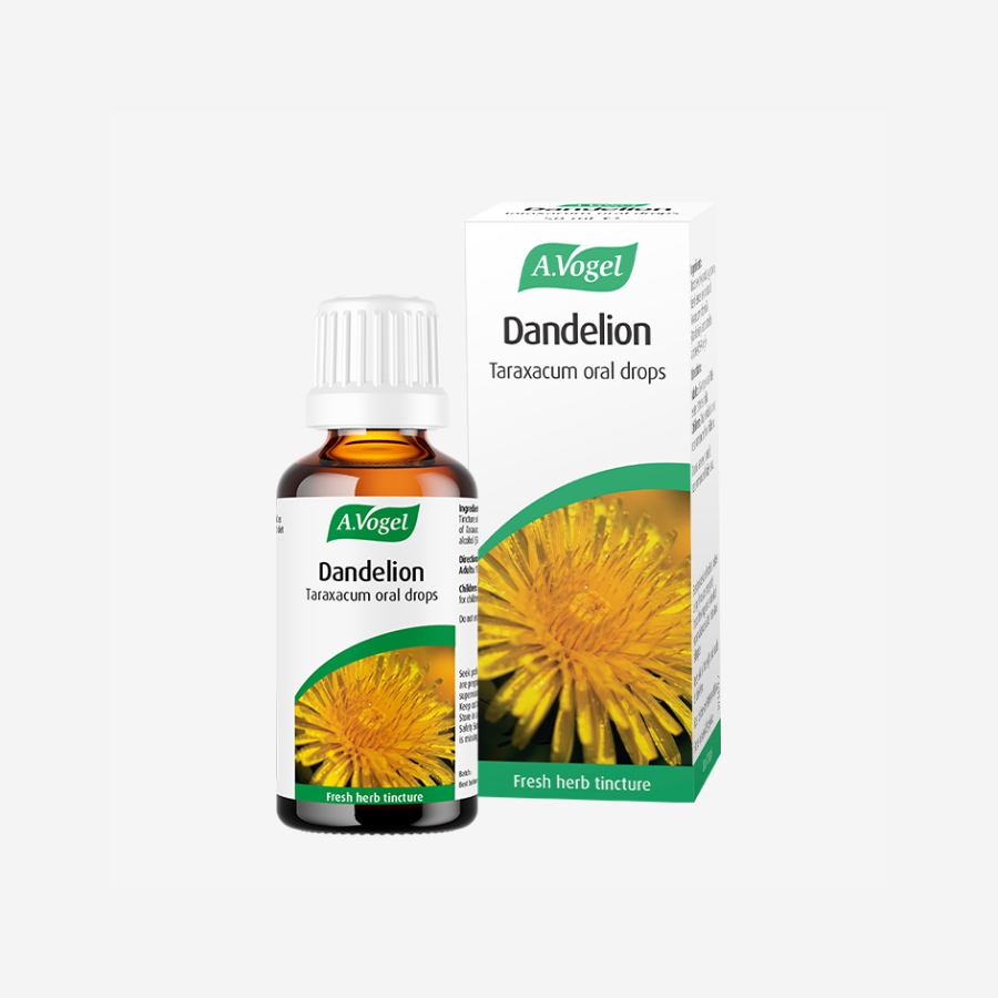 Dandelion Taraxacum Drops