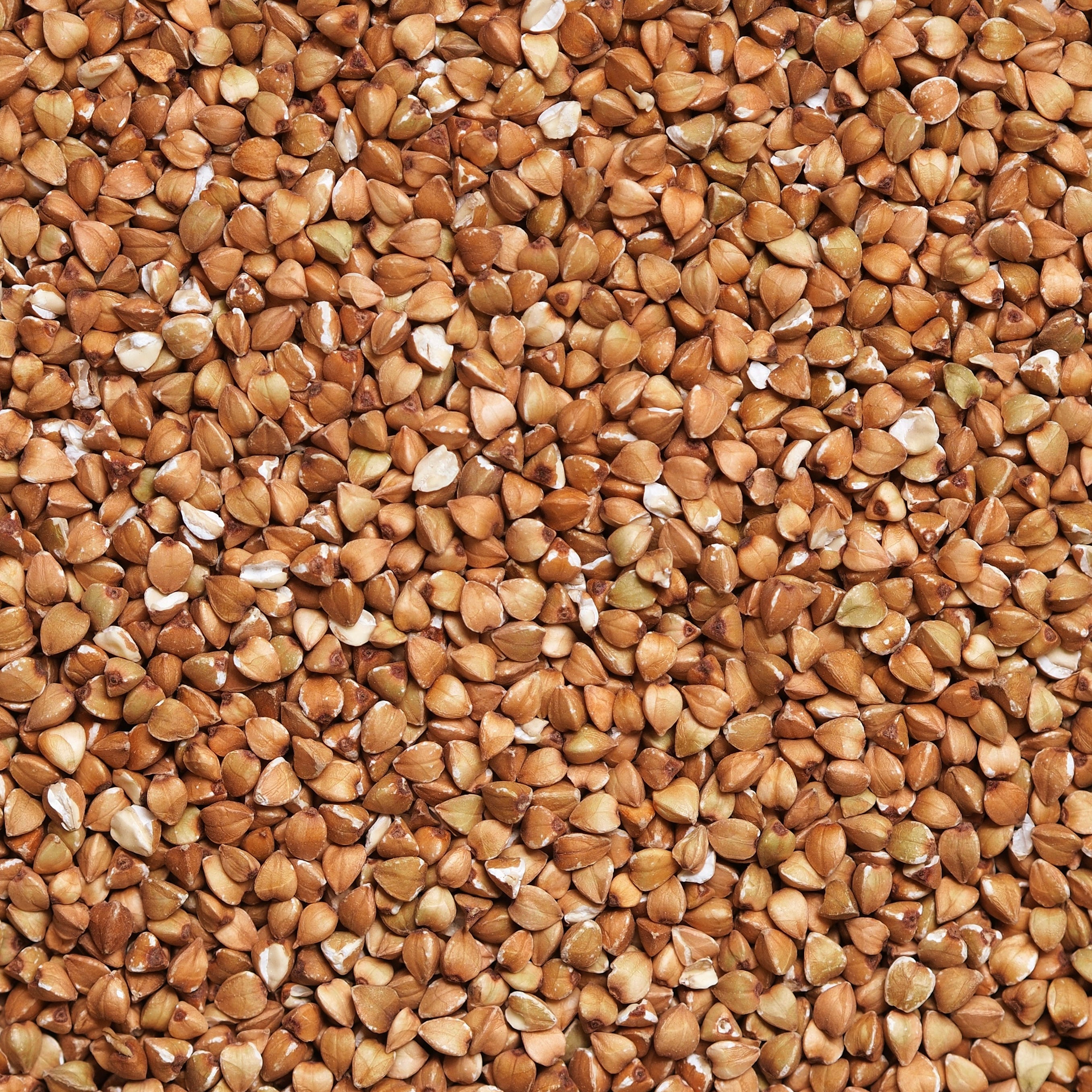 Organic Unroasted Buckwheat